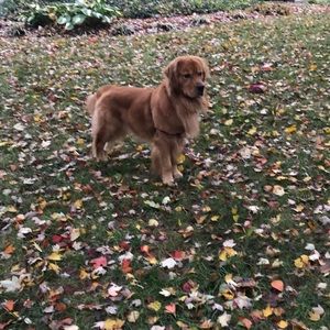 Meet your Posher, James